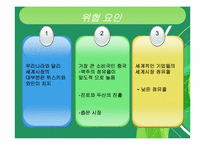 [마케팅] 주류업체의 해외시장 진출 전략-18