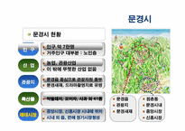 [소매업경영론] 문경시장의 활성화를위한 성공 전략-3