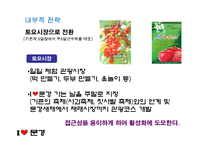 [소매업경영론] 문경재래시장의 활성화를 위한 방안-19
