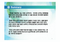 [마케팅] 국내 소주시장의 동향 및 분석-3