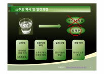 [마케팅] 소주의 소비문화 환경에관한 분석-4