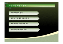 [마케팅] 소주의 소비문화 환경에관한 분석-8