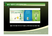 [마케팅] 소주의 소비문화 환경에관한 분석-13