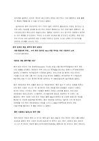 [중국경제론] 중국의 인터넷 산업에 따른 우리 인터넷 산업의 득과 실-8