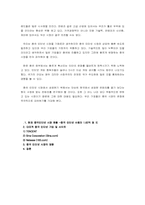 [중국경제론] 중국의 인터넷 산업에 따른 우리 인터넷 산업의 득과 실-10