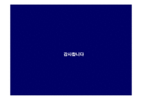 [홍보원론] SK텔레콤의 2002월드컵 홍보 전략-12