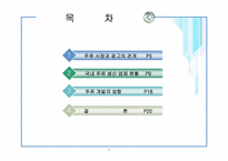 [마케팅] 주류시장의 광고 및 국내 주류 시장 현황-2