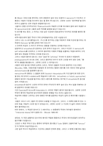 [관광과세계문화유산] 마법의 왕국 혹은 진짜에 대한 비현실적인 탐구-8