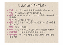 [관광과세계문화유산] 오스트리아 짤츠브루크 역사지구-3