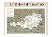[관광과세계문화유산] 오스트리아 짤츠브루크 역사지구-5