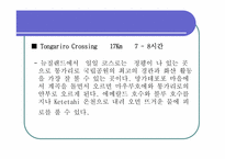 [관광과세계문화유산] 통가리로 국립공원-11