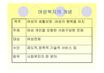 [사회복지개론] 여성복지-4