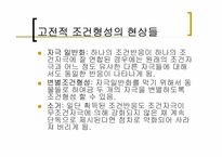 [인간행동의심리적이해] 학습-6