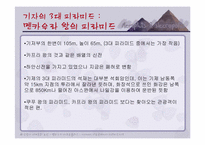 [관광과세계문화유산] 멤피스에서 네크로폴리스까지 분포되어 있는 문화유산-19