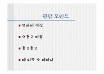 [관광과세계문화유산] 칠레 라파누이 국립공원-10