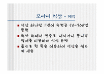 [관광과세계문화유산] 칠레 라파누이 국립공원-12