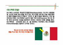 [관광과세계문화유산] 멕시코 고대문명-5