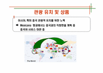 [관광과세계문화유산] 멕시코 고대문명-13