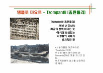 [관광과세계문화유산] 멕시코 고대문명-17