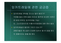 [관광과세계문화유산] 페루의 마추피추 여행을위한 분석-17