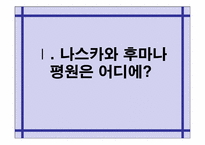 [관광과세계문화유산] 페루 나스카와 후마나 평원-3