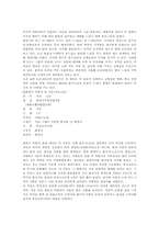 [한국문화학] 화엄사(답사자료)-3