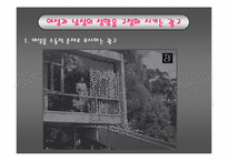 [현대문화론] 섹슈얼리티를 둘러싼 우리사회의 현상과 시선-6