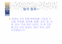 [민속예술의이해] 북청사자놀음의 이해와 분석-4