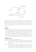 [재활학개론] 언어치료(취학전 아동의 언어습득과 장애와 신경학적 장애)-8