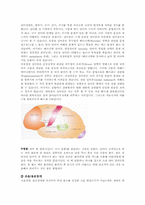 [재활학개론] 재활치료의 종류와 치료목적(언어치료 중심)-6