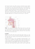 [재활학개론] 재활치료의 종류와 치료목적(언어치료 중심)-7