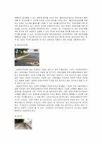 [재활학개론] 장애인 시설의 문제점과 그에 따른 해결방안 모색-8