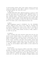 [재활학개론] 시각장애인의 현황과 직업재활을 통학 고용증진 방법 고찰-5