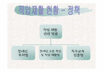 [재활학개론] 직업재활의 현황과 문제점에 따른 대책-2