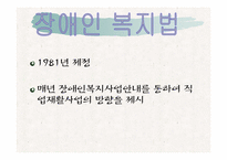 [재활학개론] 직업재활의 현황과 문제점에 따른 대책-3