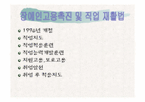 [재활학개론] 직업재활의 현황과 문제점에 따른 대책-4