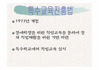[재활학개론] 직업재활의 현황과 문제점에 따른 대책-5