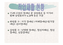 [재활학개론] 직업재활의 현황과 문제점에 따른 대책-6