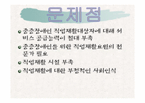 [재활학개론] 직업재활의 현황과 문제점에 따른 대책-11