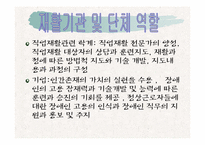 [재활학개론] 직업재활의 현황과 문제점에 따른 대책-13