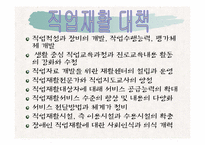 [재활학개론] 직업재활의 현황과 문제점에 따른 대책-14