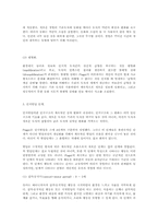 [교육심리] Piaget의 인지이론에 대해-3