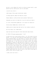 [교육심리] Piaget의 인지이론에 대해-5