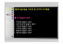 [유아교육] 언어 경험적 접근법-13