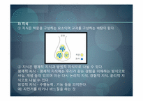 [교육과정및교육평가] 교육내용의 선정과 조직원리-8