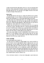[국제경영] 나이키 vs 아디다스 비교분석-4