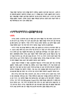 [국제경영] 나이키 vs 아디다스 비교분석-14