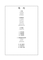 GE 국제경영전략-2