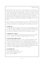 GE 국제경영전략-17