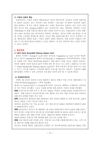 GE 국제경영전략-18